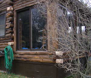 Sliding glass doors in a log cabin